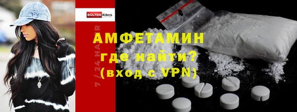 индика Вязьма