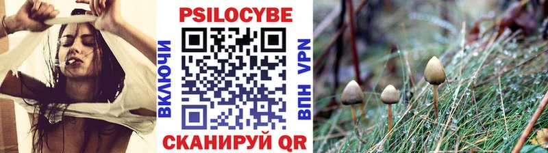 купить наркотики цена  Джанкой  Псилоцибиновые грибы ЛСД 